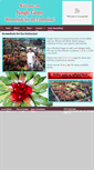 Mobile Screenshot of bromeliadsforsale.com